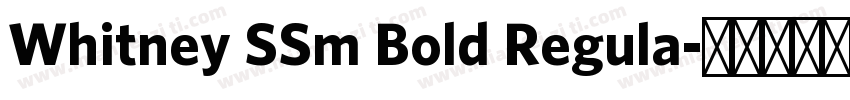 Whitney SSm Bold Regula字体转换